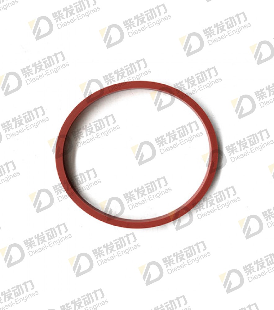 Sealing ring 469829 